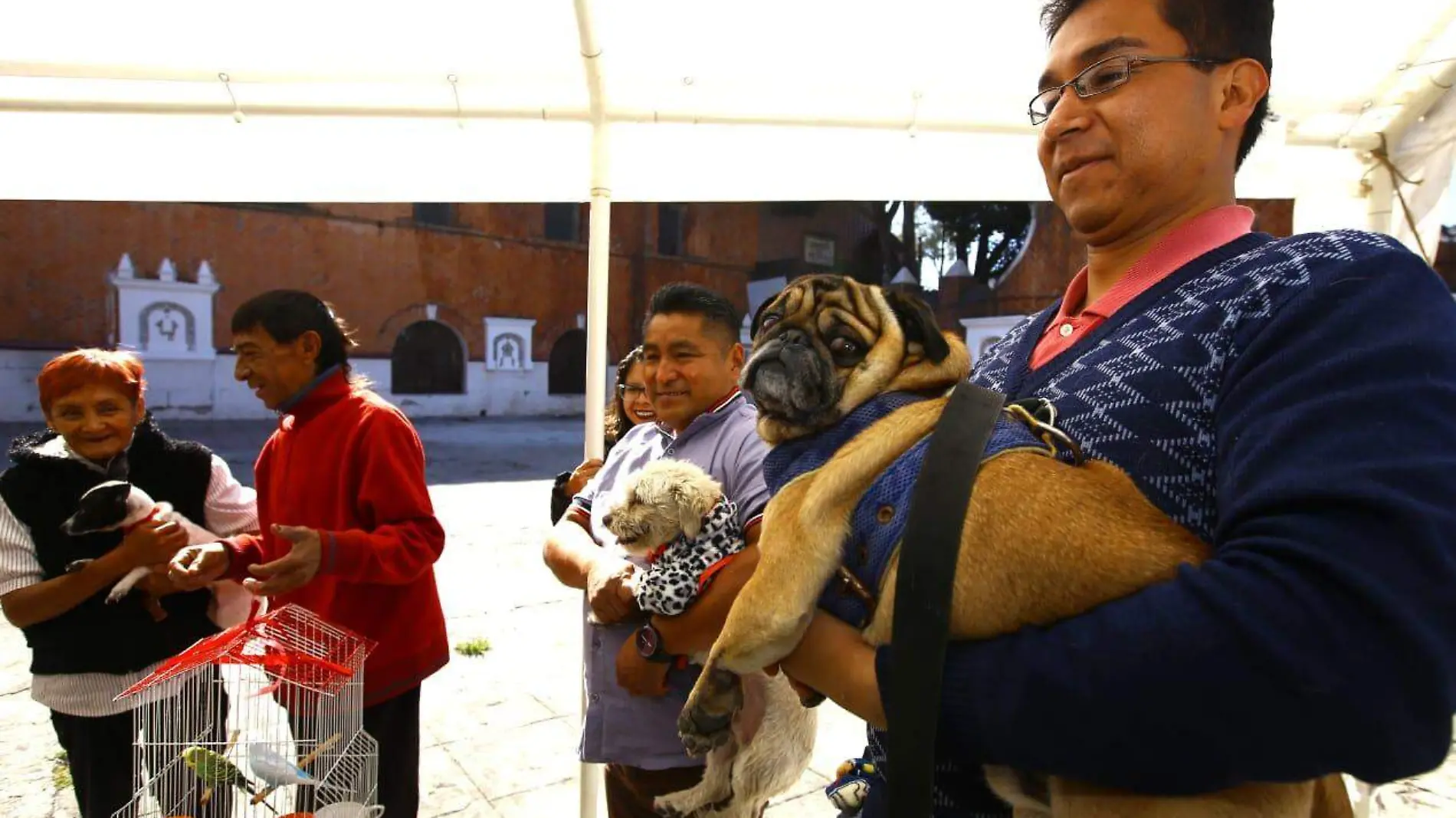 BENDICION MASCOTAS